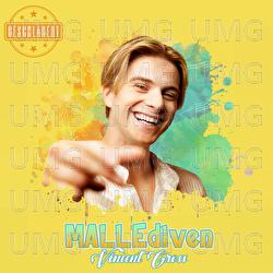 MALLEdiven - Vincent Gross