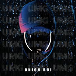 Lila zu Grau - Onion Boi