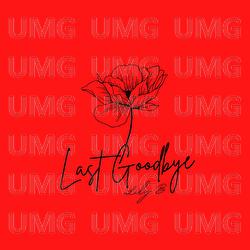 Last Goodbye - Lily B