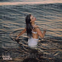 en mis manos - RIZA