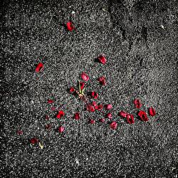 non mi dire basta - CRETA