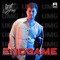 Endgame - Just Dimi