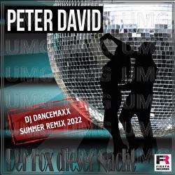 Der Fox dieser Nacht - Peter David