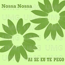 Ai Se Eu Te Pego - Nossa Nossa