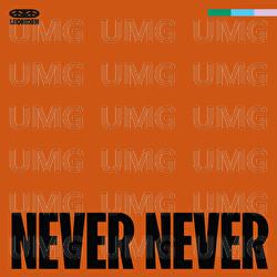 Never Never - Leoniden