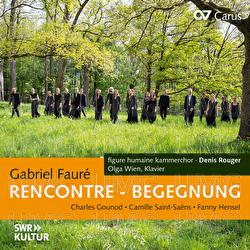 Faur&eacute;: Po&egrave;me d'un jour, Op. 21 (Arr. Rouger): No. 3, Adieu - Olga Wien, figure humaine kammerchor, Denis Rouger