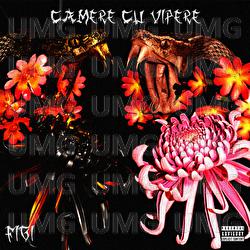 Camere cu Vipere - FIGI