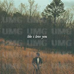 like i love you - Ryley Tate Wilson