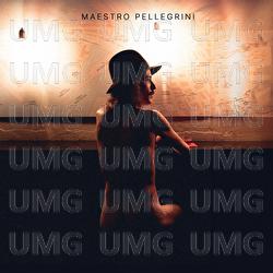 Non puoi rimanere - Maestro Pellegrini