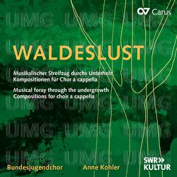 Reger: 3 Sechsstimmige Ch&ouml;re, Op. 39: No. 2, Abendlied - Bundesjugendchor, Anne Kohler