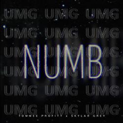 Numb - Tommee Profitt, Skylar Grey