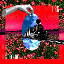 G2G - shallm