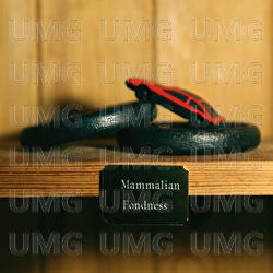 Mammalian Fondness - YOWL