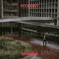 Sinking - Pit Pony