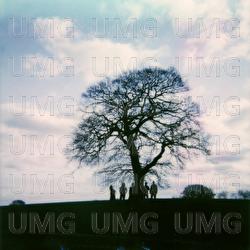 The Big Trees, The Little Trees - Team Picture