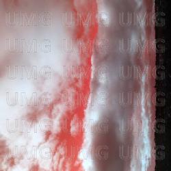 Usurper - Forever Cult