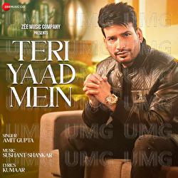 Teri Yaad Mein - Amit Gupta, Sushant Shankar