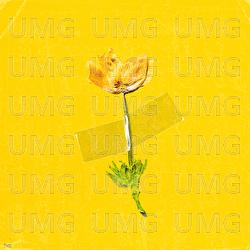 flowers on my eyes - ANNABELLE