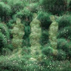 New Grass - Johannes Brecht Trio, Pitou
