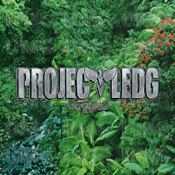 Jungel Inni her (Project Ledg) - Diskoteket, Prells, J-Green