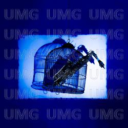 SexyShow - JovemBlues, Cau&ecirc; Gas, Canguru