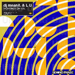 Working For You - dj meanit., Lu