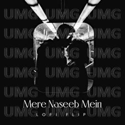 Mere Naseeb Mein - Lata Mangeshkar, Laxmikant Pyarelal, VIBIE