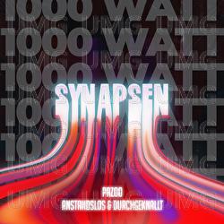 Synapsen 1000 Watt - Pazoo, Anstandslos & Durchgeknallt
