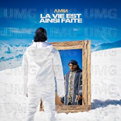 La vie est ainsi faite (LVEAF) - Amin
