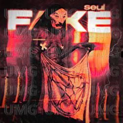 FAKE - SEUL