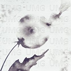 Before We Part - Sarah Spring