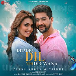 Dhadke Dil Yeh Deewana - Stebin Ben, Kausar Jamot, Kumaar