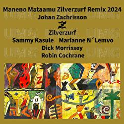 Maneno Mataamu - Johan Zachrisson, Zilverzurf