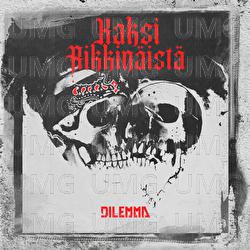 Kaksi rikkin&auml;ist&auml; - Dilemma
