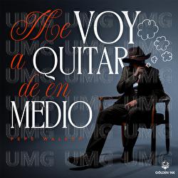 Me Voy A Quitar De En Medio - Pepe Walker