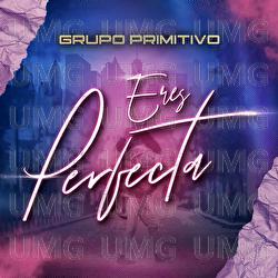 Eres Perfecta - Grupo Primitivo