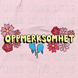 Oppmerksomhet - Fl&ouml;ber