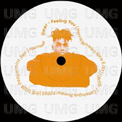 Feeling You - Omar, Henrik Schwarz