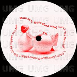 Right About Now - Mousse T., Fuzzy Hair
