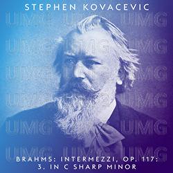 Brahms: 3 Intermezzi, Op. 117: No. 3 in C-Sharp Minor. Andante con moto - Stephen Kovacevich