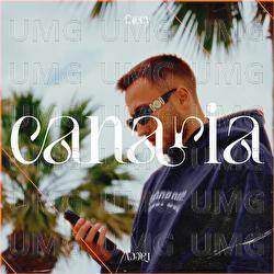 Canaria - Facey