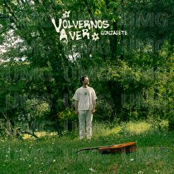 Volvernos A Ver - Gonzalete