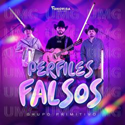 Perfiles Falsos - Grupo Primitivo