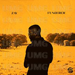 Fungerer - Zay