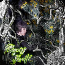 Poligoni molli - Tripolare