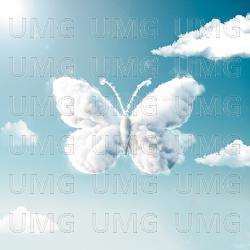 Sommerfugl - Vidar Villa