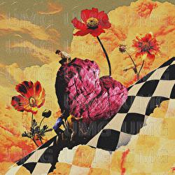 Quest Luv - Blush'ko