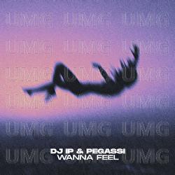 Wanna Feel - DJ IP, Pegassi