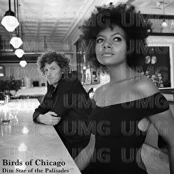 Dim Star Of The Palisades - Birds Of Chicago, Allison Russell, JT Nero