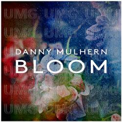 Porcelain - Danny Mulhern